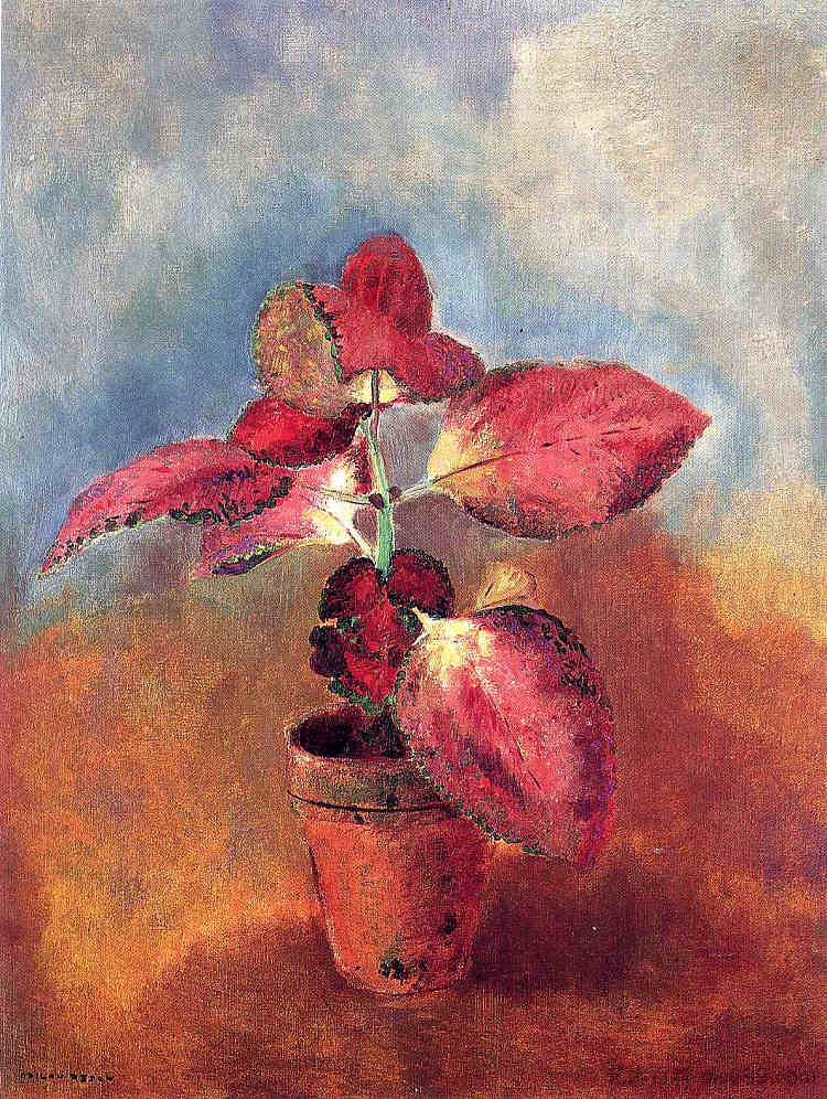 盆栽海棠 Begonia in a Pot (c.1910)，奥迪隆·雷东