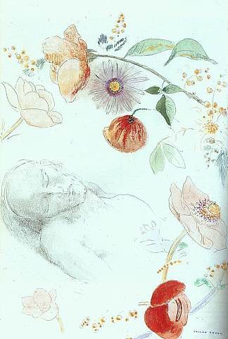 一个在花丛中睡着的男人的半身像 Bust of a Man Asleep amid Flowers，奥迪隆·雷东