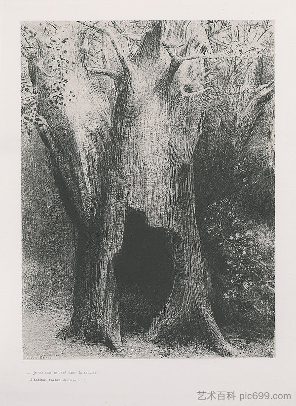 我陷入了孤独。我住在我身后的树上。（图版9） I plunged into solitude. I dwelt in the tree behind me. (plate 9) (1896)，奥迪隆·雷东