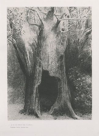 我陷入了孤独。我住在我身后的树上。（图版9） I plunged into solitude. I dwelt in the tree behind me. (plate 9) (1896)，奥迪隆·雷东