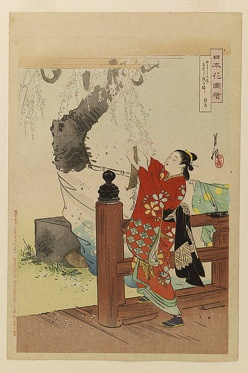 日本花子 Nihon hana zue (1897)，尾形月耕