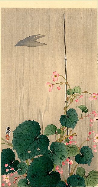 鸟和秋海棠 Bird and Begonias，小原古邨