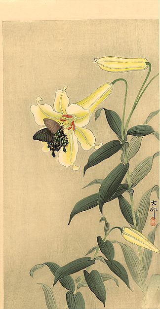 蝴蝶和百合 Butterfly and lily，小原古邨