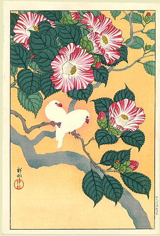 山茶花和稻鸟 Camellia and Rice Birds (1929; Japan                     )，小原古邨