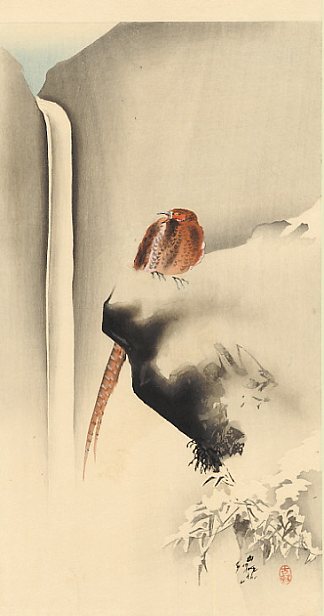 雪中的铜雉 Copper Pheasant in Snow，小原古邨