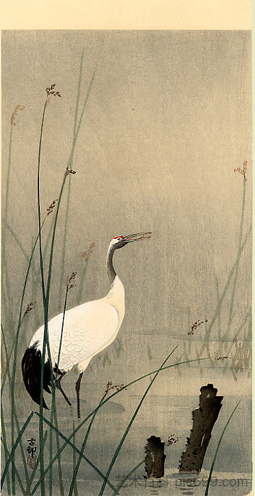 小水中起重机 Crane in small water，小原古邨