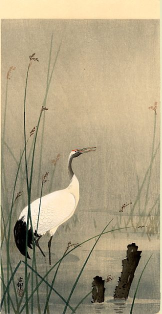 小水中起重机 Crane in small water，小原古邨