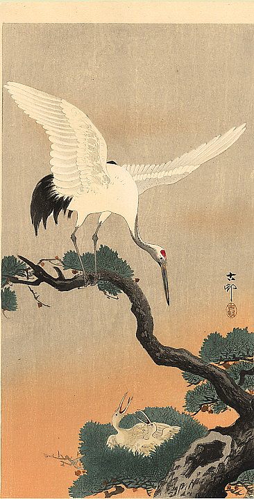 鹤在他的巢穴上 Crane over his nest，小原古邨