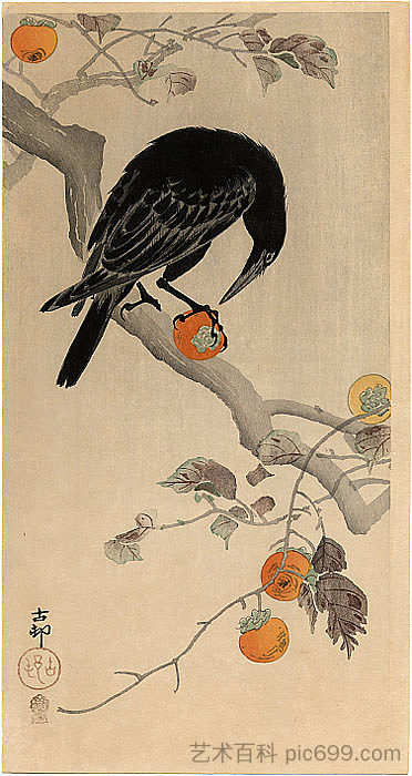 乌鸦吃柿子 Crow eating a Persimmon (c.1910)，小原古邨