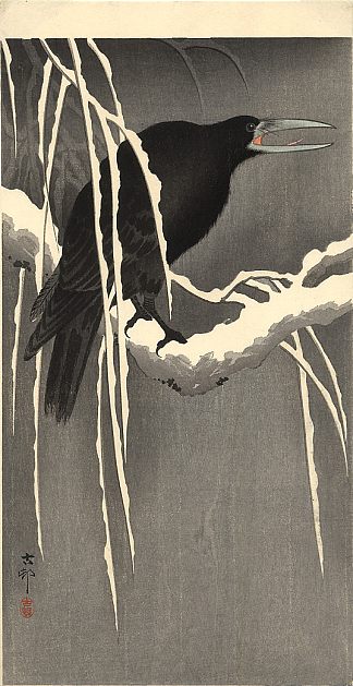 雪枝上的乌鸦 Crow on the snowy branch，小原古邨
