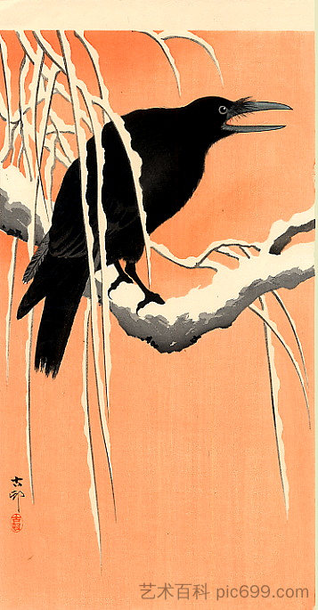 乌鸦 Crow,小原古邨