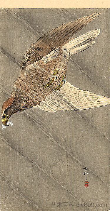 下降中的鹰 Eagle in descent (c.1905; Japan  )，小原古邨