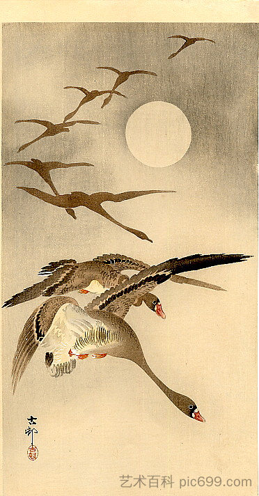八只白额鹅在飞行;后面的满月 Eight White-fronted Geese in Flight; full Moon behind,小原古邨