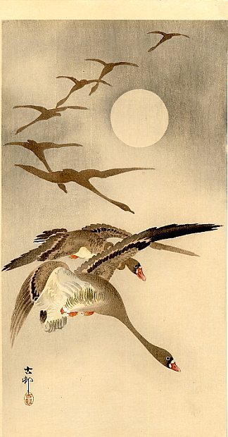 八只白额鹅在飞行;后面的满月 Eight White-fronted Geese in Flight; full Moon behind，小原古邨