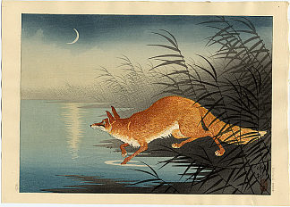 芦苇丛中的狐狸 Fox in the reeds (c.1930)，小原古邨