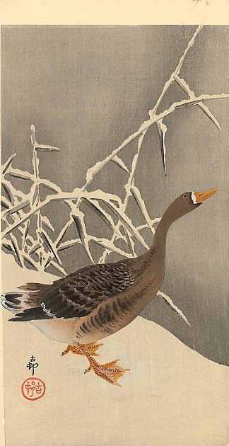 雪地上的鹅 Goose on the snow，小原古邨