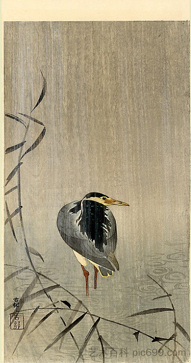 倾盆大雨中的苍鹭 Heron in Downpour，小原古邨