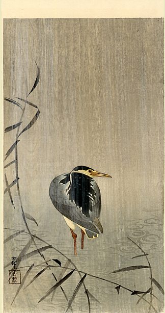 倾盆大雨中的苍鹭 Heron in Downpour，小原古邨