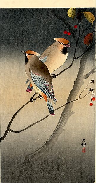 浆果树上的松鸦 Jays on Berry Tree，小原古邨