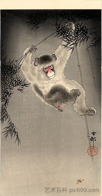 猴子从竹枝上荡秋千，观察苍蝇 Monkey Swinging from a Bamboo Branch, Observing a Fly，小原古邨