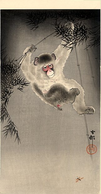 猴子从竹枝上荡秋千，观察苍蝇 Monkey Swinging from a Bamboo Branch, Observing a Fly，小原古邨