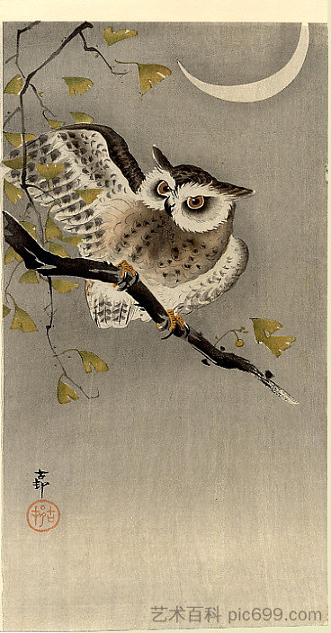 银杏树枝上的猫头鹰（新月下的猫头鹰） Owl on ginkgo branch (Scops owl under crescent moon) (c.1915; Japan  )，小原古邨