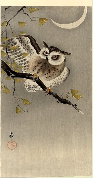 银杏树枝上的猫头鹰（新月下的猫头鹰） Owl on ginkgo branch (Scops owl under crescent moon) (c.1915; Japan                     )，小原古邨