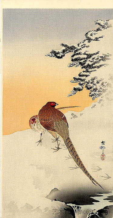 雪地上的野鸡 Pheasants on the snow，小原古邨