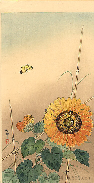 小蝴蝶和向日葵 Small butterfly and sunflower，小原古邨