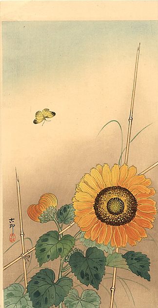 小蝴蝶和向日葵 Small butterfly and sunflower，小原古邨