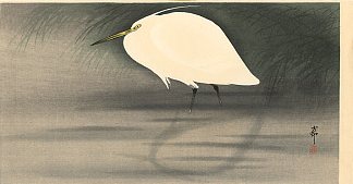 小白鹭 Small white egret，小原古邨