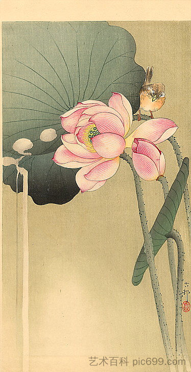 鸣禽和莲花 Songbird and Lotus，小原古邨