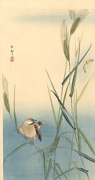 大麦茎上的鸣禽 Songbird on Barley Stalk，小原古邨