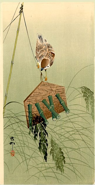 麻雀和稻草人 Sparrow and Scarecrow，小原古邨