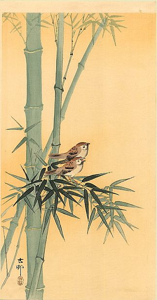 竹树上的麻雀 Sparrows on bamboo tree，小原古邨