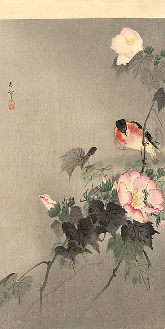 石花和盛开的花朵 Stonechat and blossoming flower，小原古邨