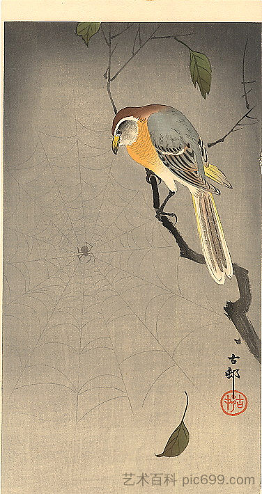 蜘蛛网 The spiderweb，小原古邨