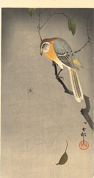 蜘蛛网 The spiderweb，小原古邨