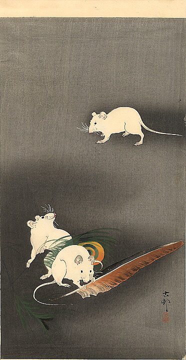 三只白老鼠 Three White Mice (1900; Japan  )，小原古邨