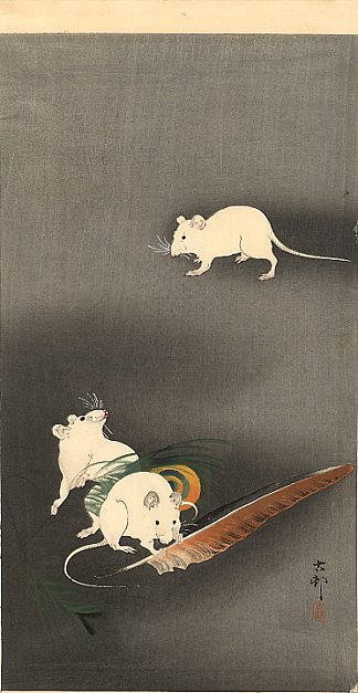 三只白老鼠 Three White Mice (1900; Japan                     )，小原古邨