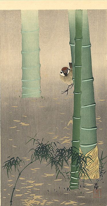 树麻雀和竹子 Tree sparrow and bamboo，小原古邨