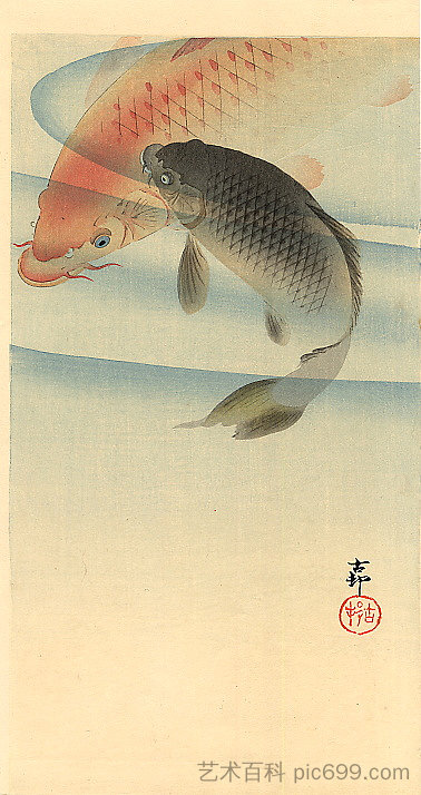 两条锦鲤 Two koi carps (c.1910; Japan  )，小原古邨