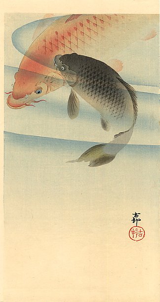 两条锦鲤 Two koi carps (c.1910; Japan                     )，小原古邨