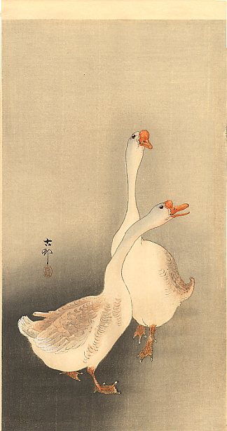 两只白鹅 Two white geese，小原古邨