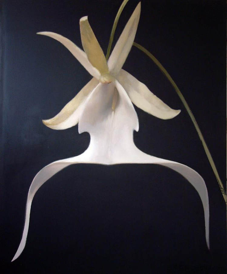 兰花 Orchids (2002)，奥列克桑德·赫尼利茨基