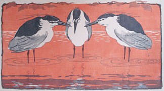 夜鹭 Night Herons (1896)，奥托·艾克曼