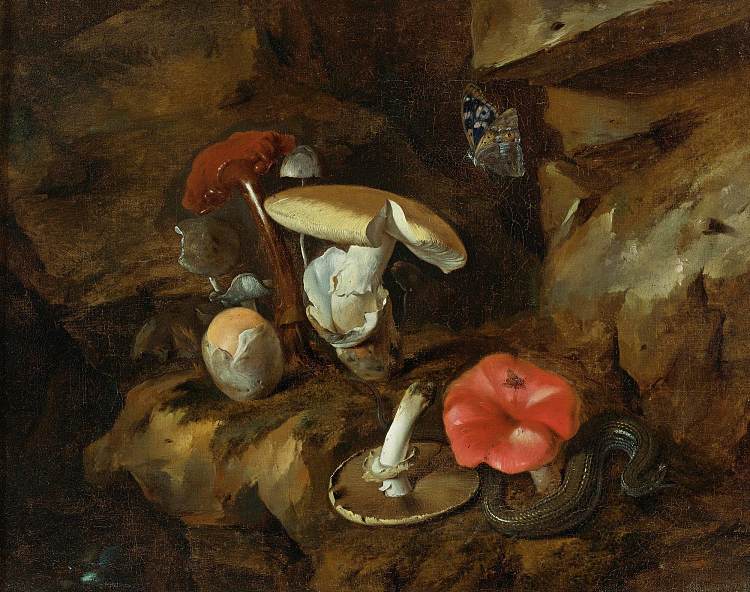 森林地面静物与蘑菇，蛇和蝴蝶 A Forest Floor Still Life with Mushrooms, a Snake and a Butterfly (1657)，奥托·马尔斯尤斯·冯·世里克