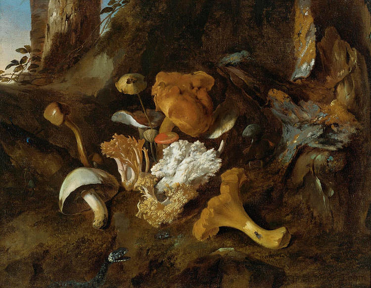 森林地面静物与蘑菇和蛇 A Forest Floor Still Life with Mushrooms and a Snake (1657)，奥托·马尔斯尤斯·冯·世里克