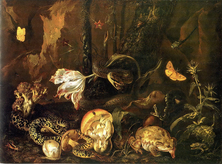 蛇,青蛙,蘑菇,花朵和蝴蝶的静物 Still Life with Snakes, Frogs, Mushrooms, Flowers and Butterflies (1662),奥托·马尔斯尤斯·冯·世里克