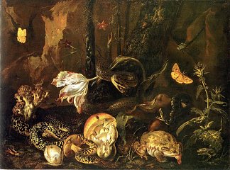 蛇，青蛙，蘑菇，花朵和蝴蝶的静物 Still Life with Snakes, Frogs, Mushrooms, Flowers and Butterflies (1662)，奥托·马尔斯尤斯·冯·世里克